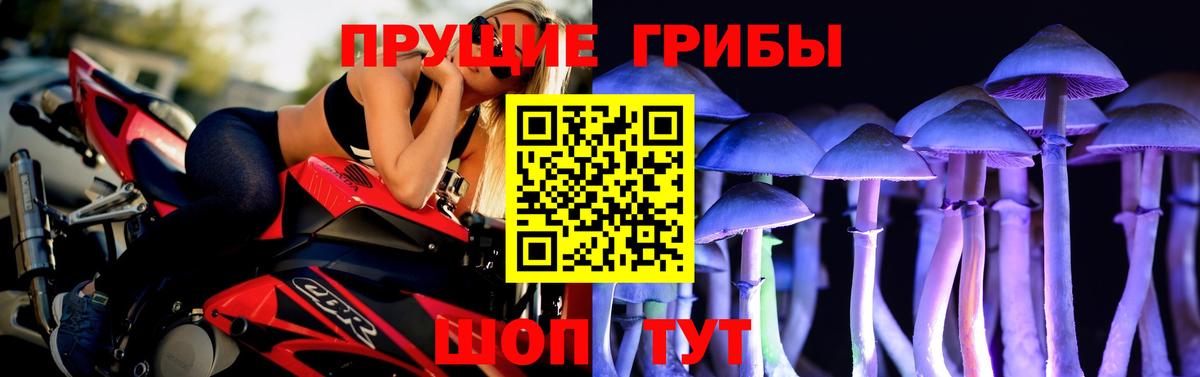 Советская Гавань  Галлюциногенные грибы GOLDEN TEACHER  Вход с VPN 
